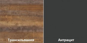 Кухонный гарнитур угловой Трансильвания 2400x1600 мм (Стол. 38 мм) Антрацит/Трансильвания в Талице - talica.mebel24.online | фото 3