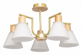 Люстра на штанге De City Дэла 45 635016505 в Талице - talica.mebel24.online | фото