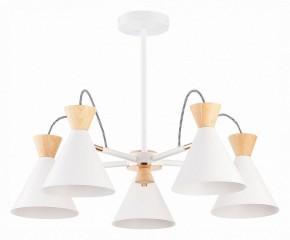 Люстра на штанге EVOLUCE Modica SLE125102-05 в Талице - talica.mebel24.online | фото 1