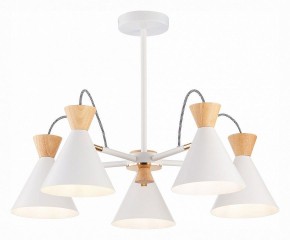 Люстра на штанге EVOLUCE Modica SLE125102-05 в Талице - talica.mebel24.online | фото 2