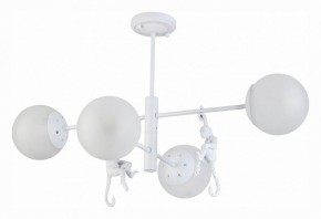 Люстра на штанге EVOLUCE Tenato SLE115102-04 в Талице - talica.mebel24.online | фото 2