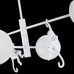 Люстра на штанге EVOLUCE Tenato SLE115102-04 в Талице - talica.mebel24.online | фото 7