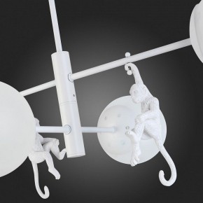 Люстра на штанге EVOLUCE Tenato SLE115102-04 в Талице - talica.mebel24.online | фото 8