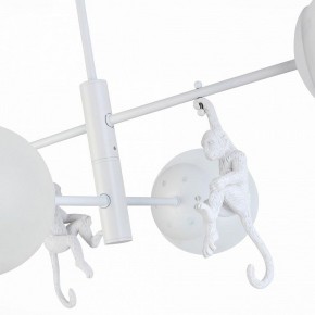 Люстра на штанге EVOLUCE Tenato SLE115102-04 в Талице - talica.mebel24.online | фото 9