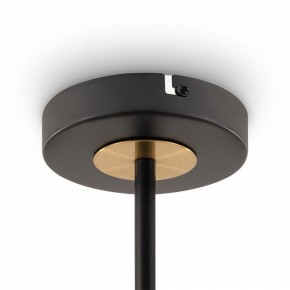 Люстра на штанге Freya Hats FR5370CL-04B в Талице - talica.mebel24.online | фото 6