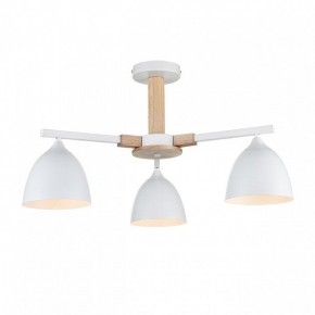 Люстра на штанге Lumion Colange 8095/3C в Талице - talica.mebel24.online | фото 2
