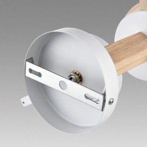 Люстра на штанге Lumion Colange 8095/3C в Талице - talica.mebel24.online | фото 6