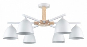 Люстра на штанге Lumion Colange 8095/6C в Талице - talica.mebel24.online | фото