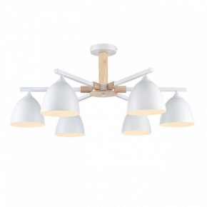 Люстра на штанге Lumion Colange 8095/6C в Талице - talica.mebel24.online | фото 2