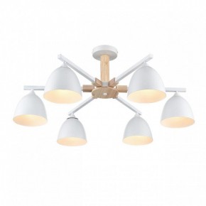 Люстра на штанге Lumion Colange 8095/6C в Талице - talica.mebel24.online | фото 3