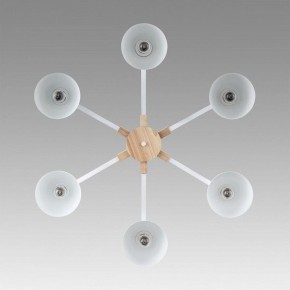 Люстра на штанге Lumion Colange 8095/6C в Талице - talica.mebel24.online | фото 4