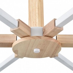 Люстра на штанге Lumion Colange 8095/6C в Талице - talica.mebel24.online | фото 7