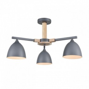 Люстра на штанге Lumion Colange 8096/3C в Талице - talica.mebel24.online | фото 2