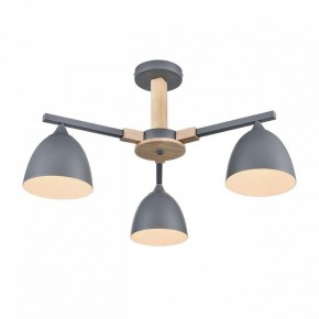 Люстра на штанге Lumion Colange 8096/3C в Талице - talica.mebel24.online | фото 3