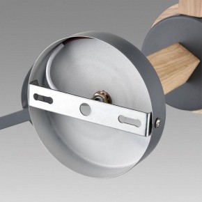Люстра на штанге Lumion Colange 8096/3C в Талице - talica.mebel24.online | фото 6