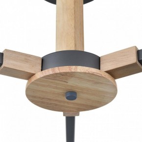 Люстра на штанге Lumion Colange 8096/3C в Талице - talica.mebel24.online | фото 7