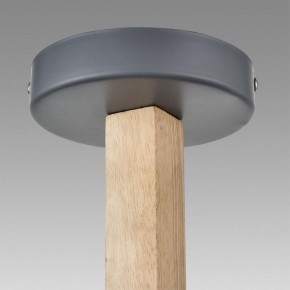 Люстра на штанге Lumion Colange 8096/3C в Талице - talica.mebel24.online | фото 9