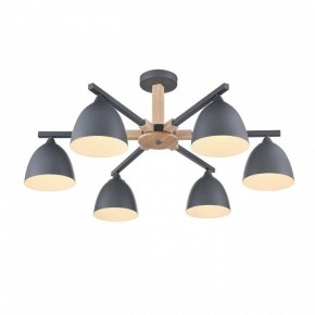 Люстра на штанге Lumion Colange 8096/6C в Талице - talica.mebel24.online | фото 3