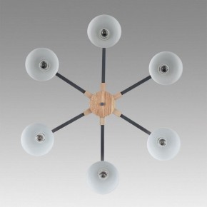 Люстра на штанге Lumion Colange 8096/6C в Талице - talica.mebel24.online | фото 4