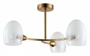 Люстра на штанге Lumion Kendall 6514/3C в Талице - talica.mebel24.online | фото
