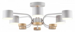 Люстра на штанге Lumion Rondo 8231/6C в Талице - talica.mebel24.online | фото 2