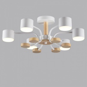 Люстра на штанге Lumion Rondo 8231/6C в Талице - talica.mebel24.online | фото 4