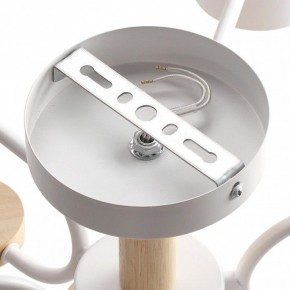 Люстра на штанге Lumion Rondo 8231/6C в Талице - talica.mebel24.online | фото 6