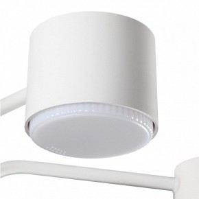 Люстра на штанге Lumion Rondo 8231/6C в Талице - talica.mebel24.online | фото 7
