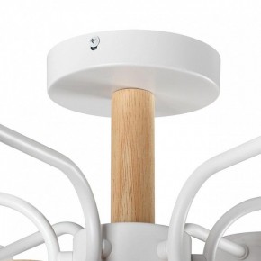 Люстра на штанге Lumion Rondo 8231/6C в Талице - talica.mebel24.online | фото 8