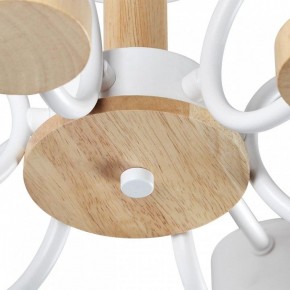 Люстра на штанге Lumion Rondo 8231/6C в Талице - talica.mebel24.online | фото 9