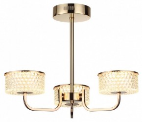Люстра на штанге Lumion Venice 6579/40CL в Талице - talica.mebel24.online | фото 5