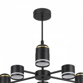 Люстра на штанге Lumion Virsava 8234/6C в Талице - talica.mebel24.online | фото 5
