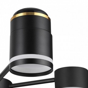 Люстра на штанге Lumion Virsava 8234/6C в Талице - talica.mebel24.online | фото 8