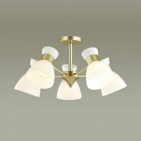 Люстра на штанге Lumion Wilma 4535/5C в Талице - talica.mebel24.online | фото 3