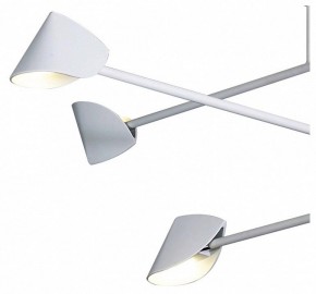 Люстра на штанге Mantra Capuccina 7570 в Талице - talica.mebel24.online | фото 4