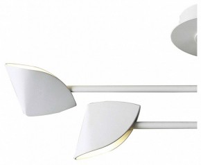 Люстра на штанге Mantra Capuccina 7574 в Талице - talica.mebel24.online | фото 2