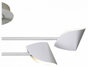 Люстра на штанге Mantra Capuccina 7574 в Талице - talica.mebel24.online | фото 3