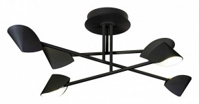 Люстра на штанге Mantra Capuccina 7581 в Талице - talica.mebel24.online | фото 1