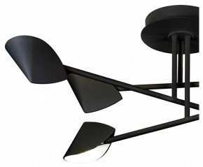 Люстра на штанге Mantra Capuccina 7581 в Талице - talica.mebel24.online | фото 2