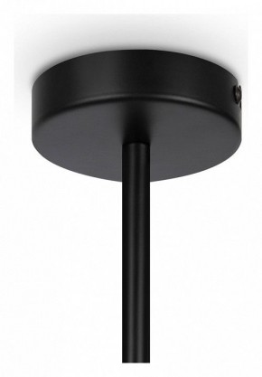 Люстра на штанге Maytoni Memory MOD177PL-04B в Талице - talica.mebel24.online | фото 4
