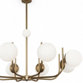Люстра на штанге Maytoni Rendez-vous MOD109PL-08BS в Талице - talica.mebel24.online | фото 4
