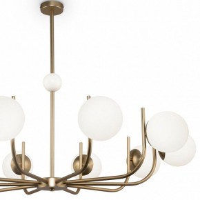 Люстра на штанге Maytoni Rendez-vous MOD109PL-10BS в Талице - talica.mebel24.online | фото 3