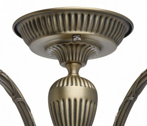 Люстра на штанге MW-Light Аманда 6 481011805 в Талице - talica.mebel24.online | фото 10