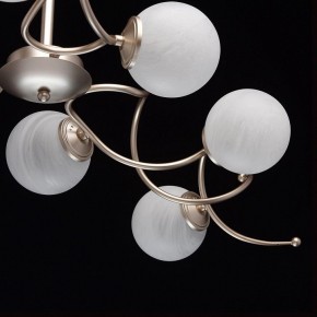 Люстра на штанге MW-Light Оливия 5 306012709 в Талице - talica.mebel24.online | фото 10