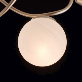 Люстра на штанге MW-Light Оливия 5 306012709 в Талице - talica.mebel24.online | фото 6
