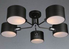 Люстра на штанге Omnilux Lisera OML-54507-05 в Талице - talica.mebel24.online | фото 3