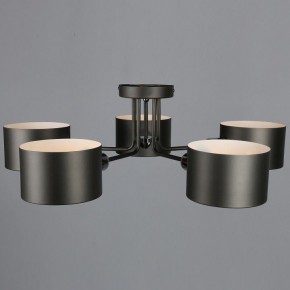 Люстра на штанге Omnilux Lisera OML-54507-05 в Талице - talica.mebel24.online | фото 5