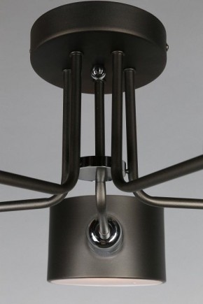 Люстра на штанге Omnilux Lisera OML-54507-05 в Талице - talica.mebel24.online | фото 6