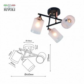 Люстра на штанге Rivoli Fiona Б0059259 в Талице - talica.mebel24.online | фото