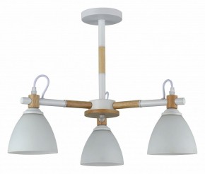 Люстра на штанге Rivoli Louise Б0060982 в Талице - talica.mebel24.online | фото